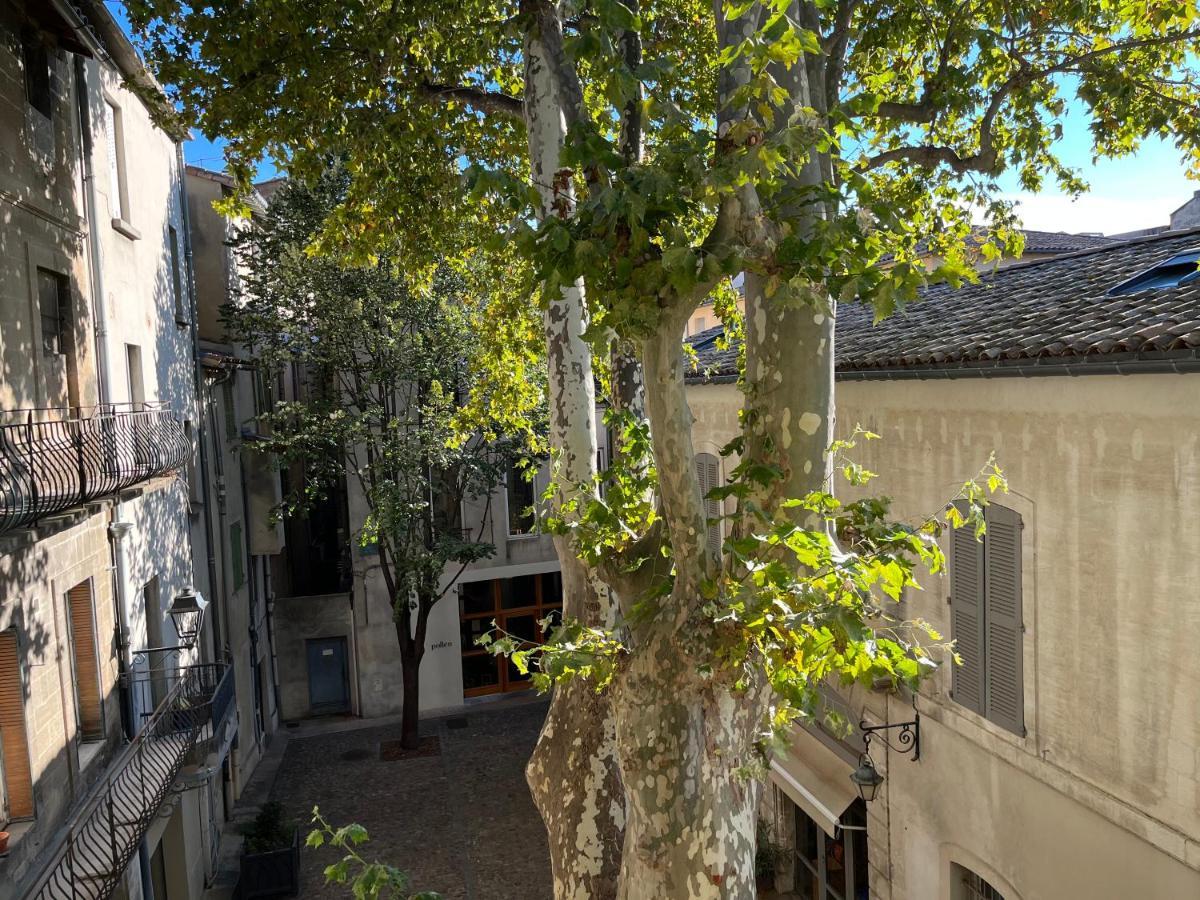 La Charmante Du Palais 2 Chambres 亞維農 外观 照片
